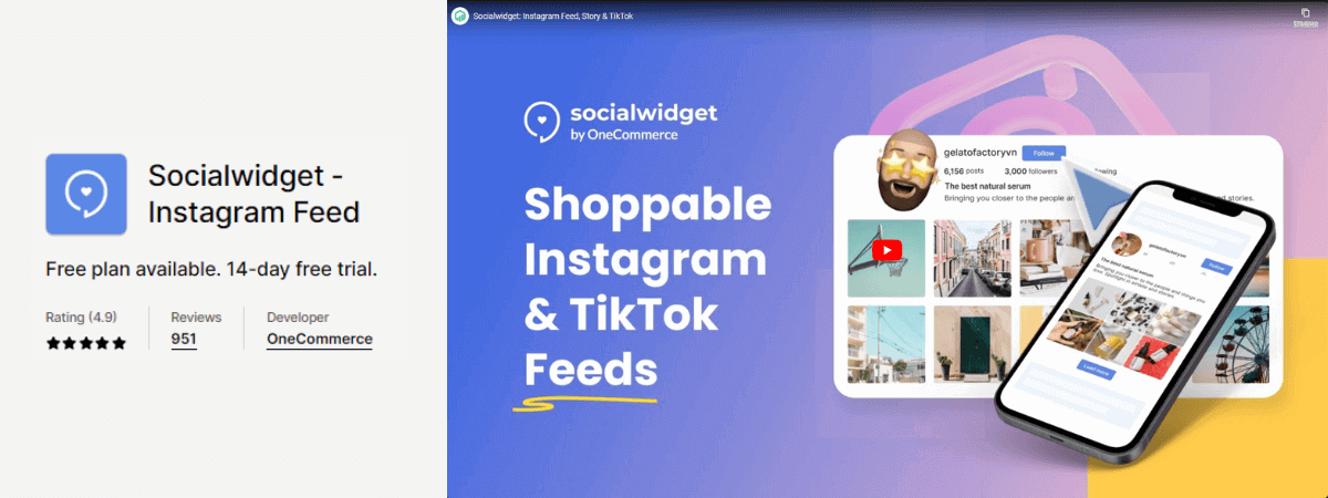 2. Socialwidget ‑ Instagram Feed