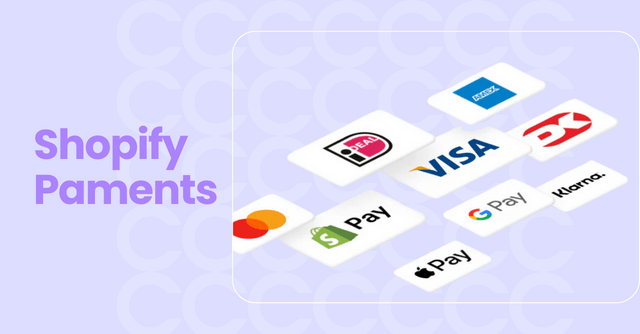 Shopify Payments Review [2024]