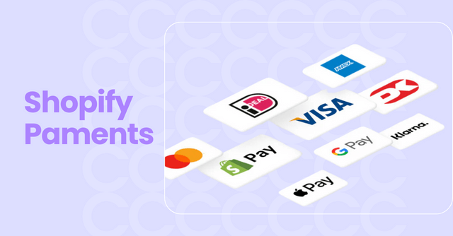 Shopify payments