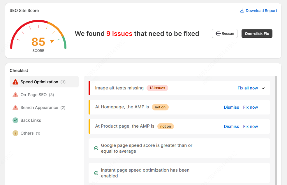 SEOAnt SEO Audit