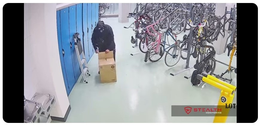 package-thief-mailroom-shopper