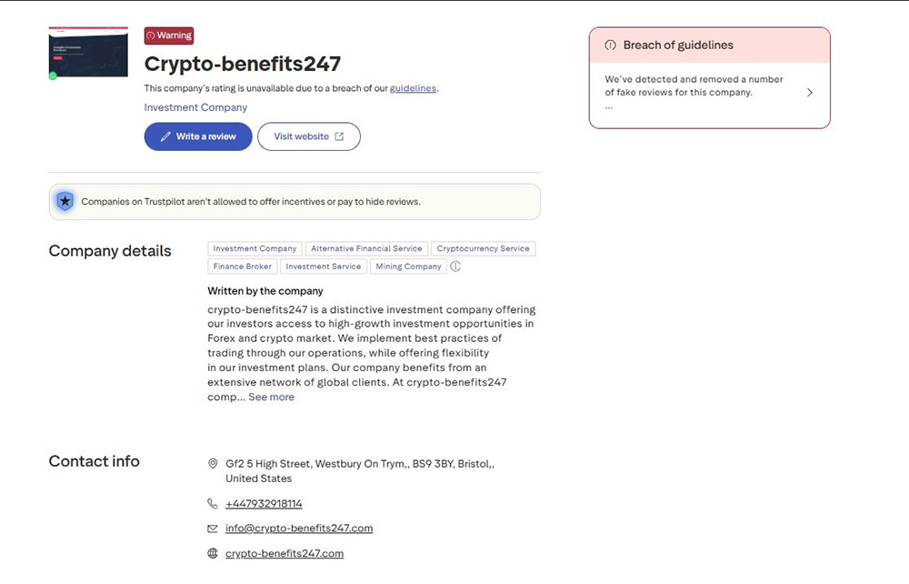 trustpilot-flagged-business-profile-example